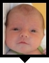 Zdenek icon
