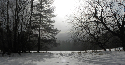 Zlíčko